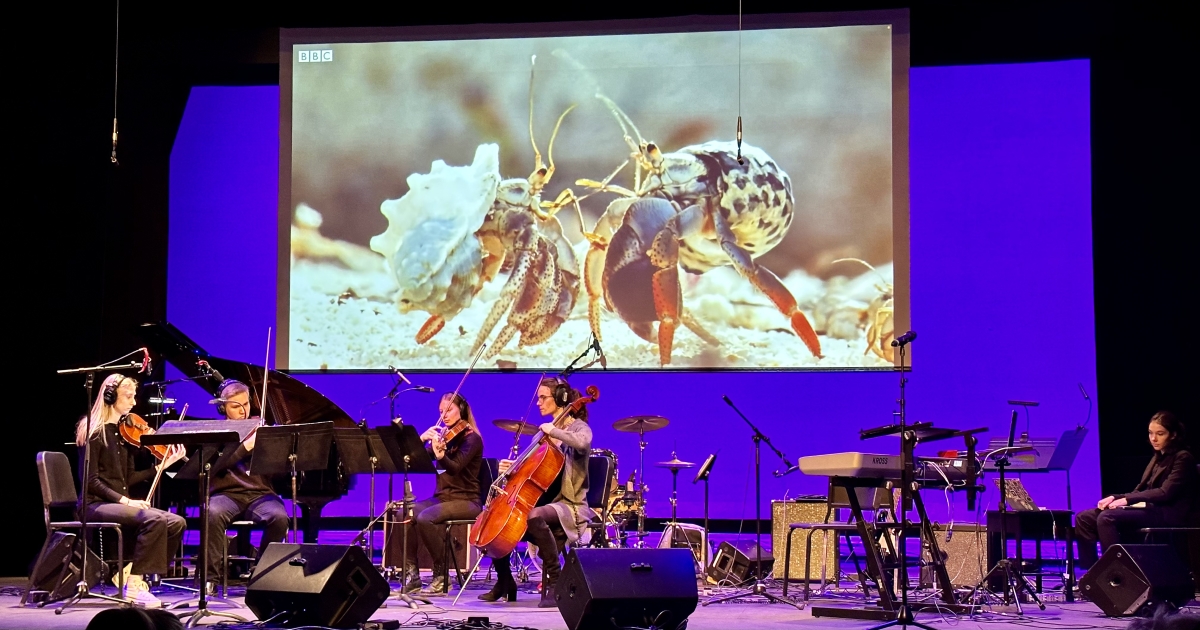 BM, Music Theory and Composition Screen Scoring NYU Steinhardt